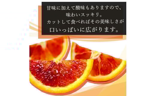 希少な柑橘!紀州有田産ブラッドオレンジ約5kg 【ご家庭用】※2026年3月上旬頃～3月中旬頃に順次発送 (お届け日指定不可) 【uot853】