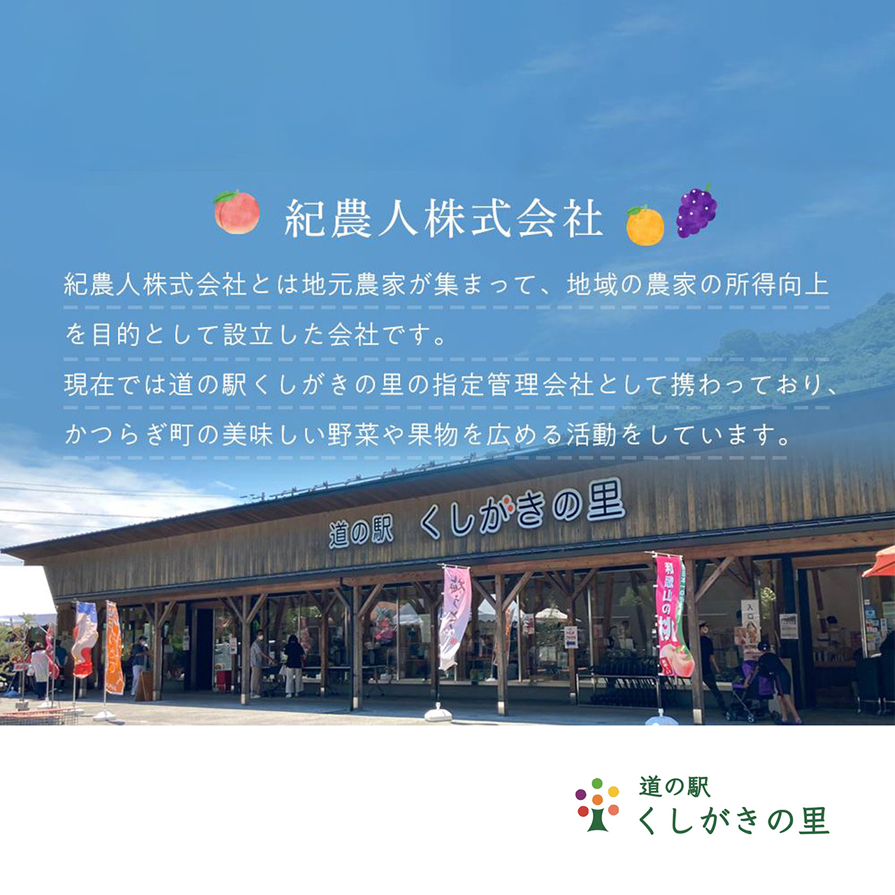 【先行予約】【数量わずか】樹上完熟しらぬい（不知火） 5個~8個 秀品 2025年1月下旬～2025年2月下旬頃に順次発送予定（お届け日指定不可）/ 和歌山 みかん しらぬい 不知火 フルーツ 柑橘 蜜柑 果物 くだもの【kgr014】