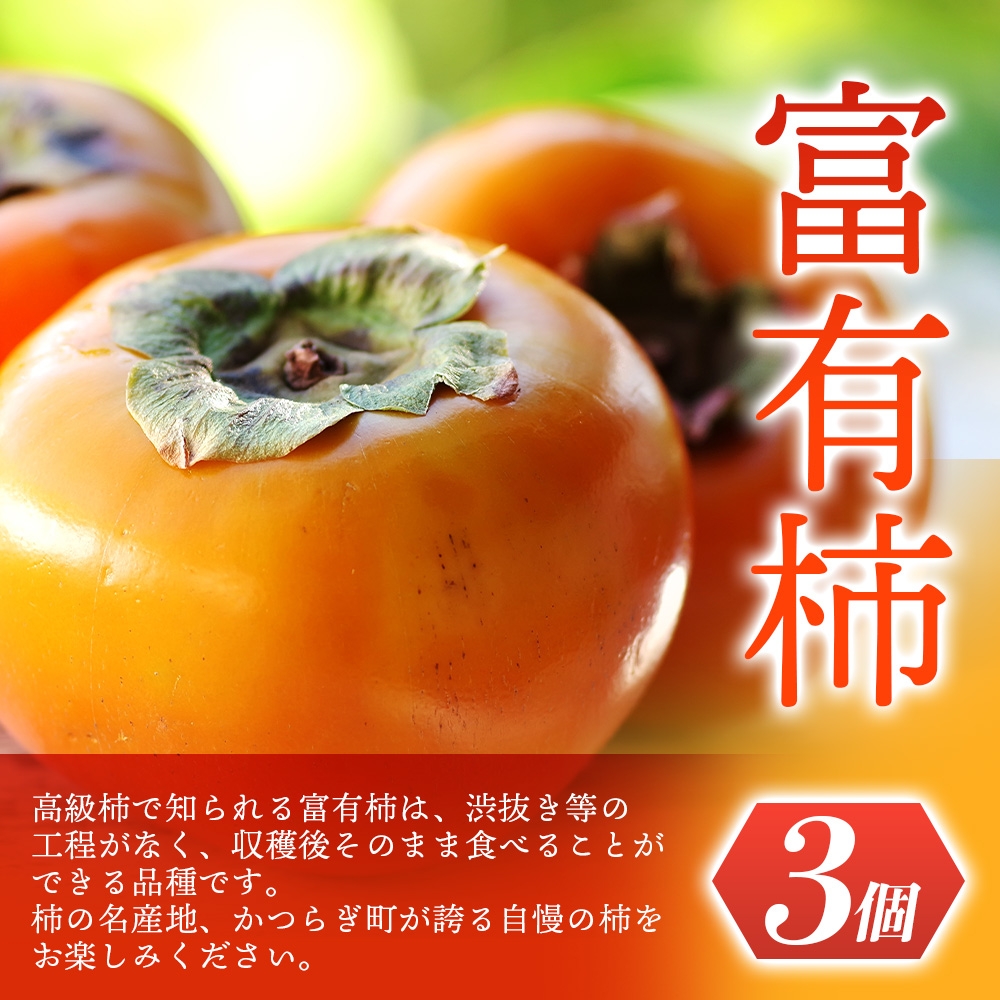 【先行予約】 道の駅くしがきの里セット 富有柿3個・温州みかん約30個の詰め合わせ こだわり農家厳選  【2025年11月中旬頃から2026年1月中旬頃順次発送】 | みかん 温州みかん 柿 富有柿 かき 詰め合わせ 果物詰め合わせ 果物 フルーツ おやつ【kgr022】