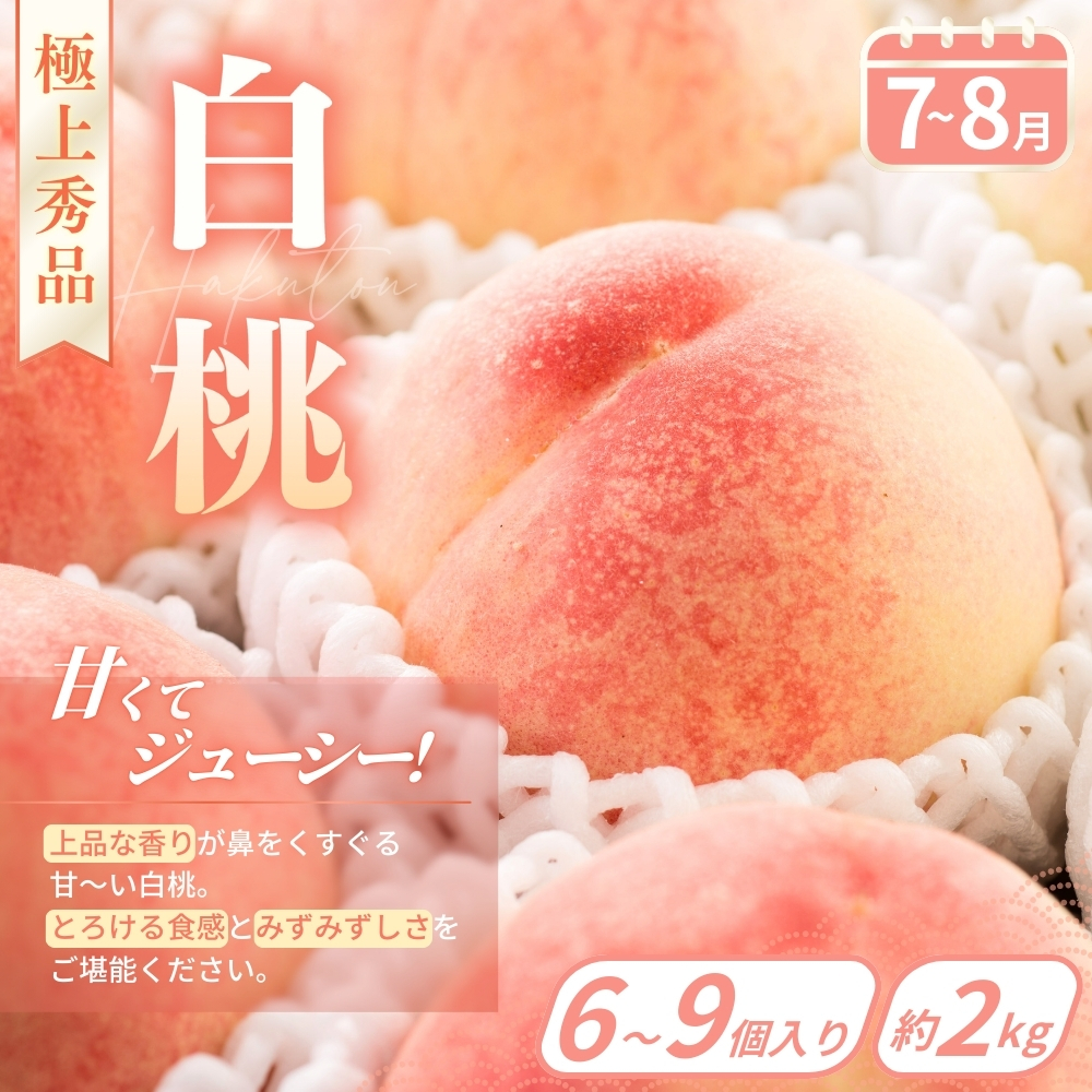 【定期便4回】フルーツ王国かつらぎ町よりお届け！旬のフルーツ定期便|【kgr025】