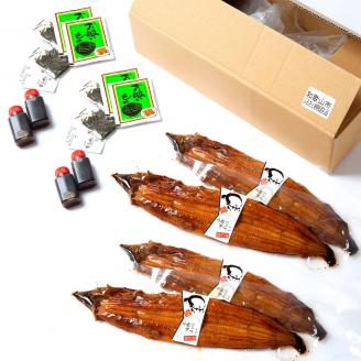 国産うなぎ 関西風蒲焼 大サイズ４枚(合計約600g)薬味付【北山グルメ市場】【miw103】