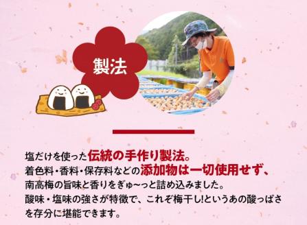 完熟南高梅 白梅干し 2.5kg (1.25kg×2パック) 塩分約20％ 完全無添加 サイズ混合 ご家庭用【2025年9月より発送予定】【njb647】