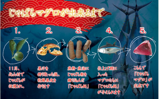 【串本町×北山村】本マグロ（養殖）トロ＆赤身セット 240ｇ【8月発送分】【nks113-8】