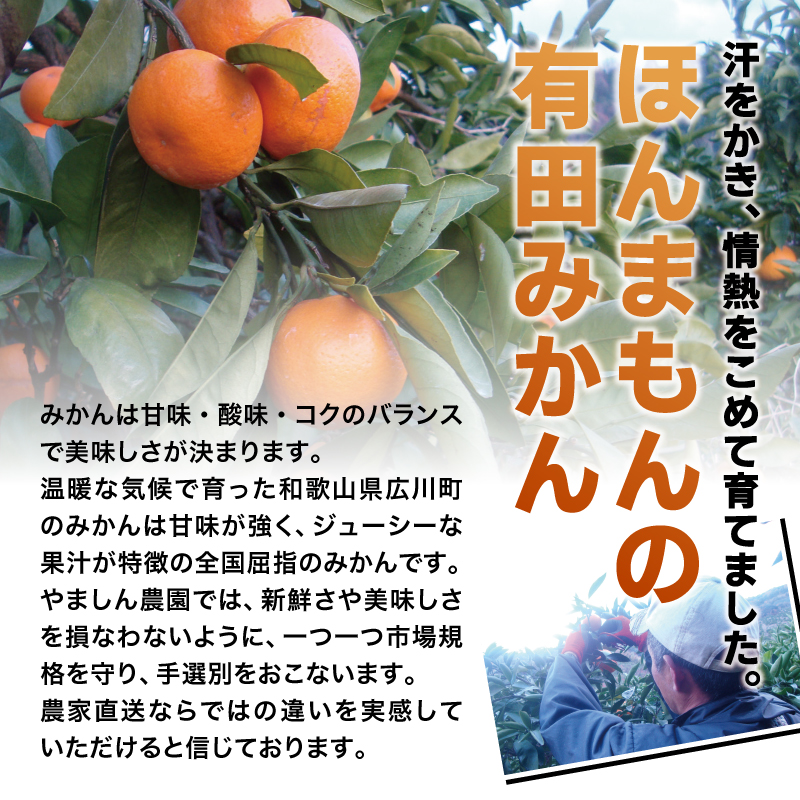【2025年12月発送予約分】こだわりの有田みかん 約2kg 光センサー選別 有機質肥料100% 家庭用 サイズ混合【nuk159-12A】