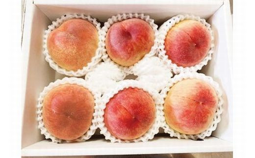 桃 もも 紀州和歌山産の桃 約1.8kg 化粧箱入 ※2026年6月下旬頃〜2026年8月上旬頃順次発送（お届け日指定不可）/ 桃 もも モモ フルーツ 果物 くだもの 人気 産地直送 贈答 贈り物 ギフト プレゼント 和歌山の桃 【uot720-2】