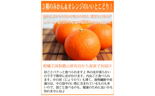 津之輝(つのかがやき)　5kg【予約】※2026年2月上旬頃～2026年2月下旬頃に順次発送予定(お届け日指定不可) 【uot761】