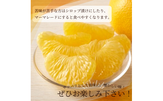 紀州和歌山産 八朔（はっさく） 約10kg ※2026年2月上旬頃～2026年2月下旬頃に順次発送 ※日付指定不可【uot785】