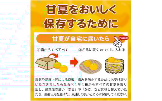 【ご家庭用訳あり】紀州有田産 すっきり爽やか 甘夏みかん 8kg  ※2026年3月上旬頃?2026年3月下旬頃に順次発送予定 / 甘夏 あまなつ みかん ミカン 蜜柑 温州みかん 柑橘 フルーツ 果物 くだもの 和歌山【uot847】
