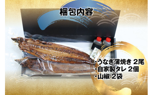 うなぎ ウナギ 鰻 国産うなぎ 紀州備長炭で焼き上げた うなぎ 約200g×2尾セット タレ・山椒付き / うなぎ ウナギ 鰻 うなぎの蒲焼 ウナギの蒲焼 鰻の蒲焼き 国産うなぎ 魚介 魚介類 うなぎ丼 うな重 ひつまぶし 人気 【fki301A】