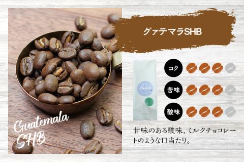 【粗挽き】（ブレンド3+グァテマラ2）挽き立てコーヒー豆 750gセット コーヒー豆 焙煎 コーヒー【hgo001A-c-07】