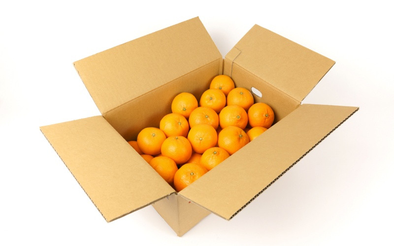 【先行予約】希少種みかん はれひめ 秀品 約5kg (25個～30個) ※2025年12月中旬～2026年2月初旬頃に順次発送予定（お届け日指定不可） | 和歌山 みかん ミカン はれひめ フルーツ 柑橘 蜜柑 果物 くだもの 旬 産地直送【kgr004A】