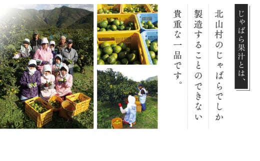 じゃばら果汁 360ml×2本 | 無添加 100%天然果汁 じゃばら果汁 じゃばら ジャバラ 調味料 健康 人気【njb211-y2】