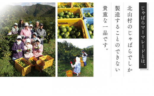 じゃばらマーマレード 140g×2個【njb333A】