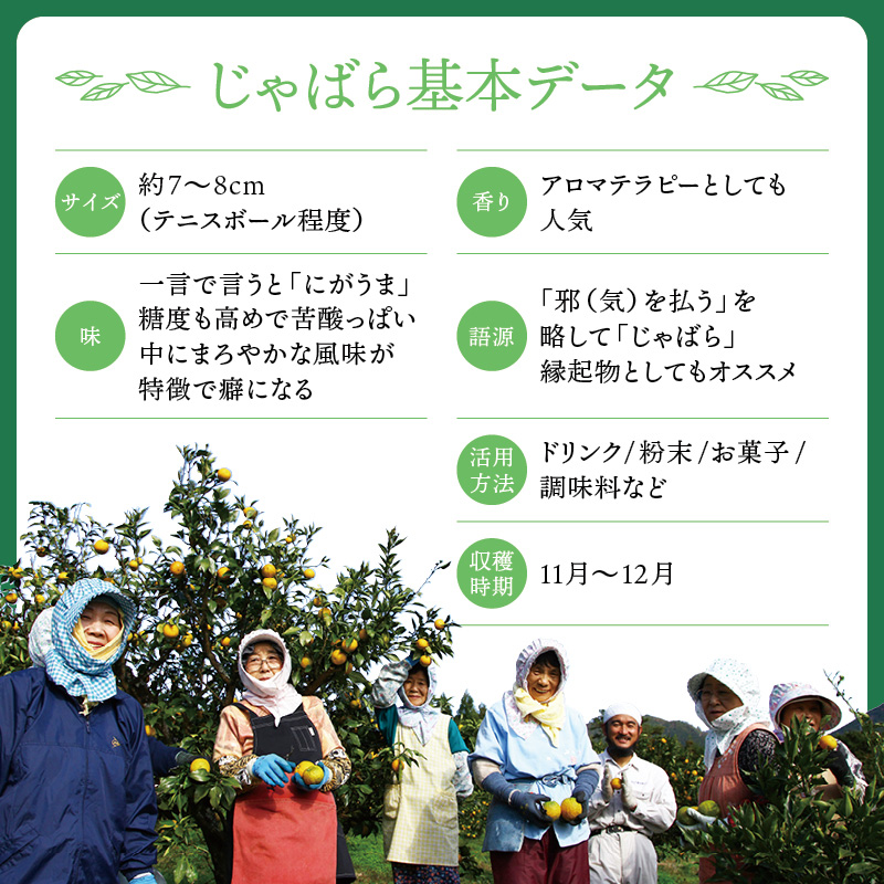 じゃばらドリンク初めてセット / 幻の柑橘じゃばらドリンク5種類が一度に楽しめる！【njb102A】