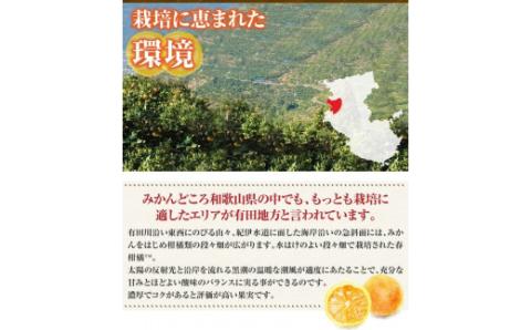 田村産清見オレンジ[約4.5kg]湯浅町田村産春みかん(果実サイズおまかせ)/紀伊国屋文左衛門本舗　※2026年3月中旬～4月下旬頃発送予定【ntb492A】