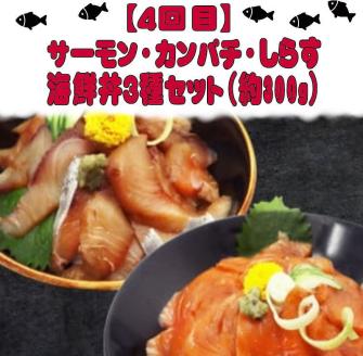 【全4回】魚鶴一押し！人気のお魚集合定期便（さば・銀鮭・うなぎ・海鮮丼）【tkb308】