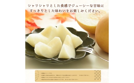 【全4回】紀州和歌山産旬のフルーツ定期便 (スイカ・桃・巨峰・梨) / すいか スイカ もも 桃 白桃 巨峰 葡萄 ぶどう なし 梨 ナシ 洋ナシ 和梨 果物 くだもの フルーツ フルーツ定期便 和歌山【tkb422】