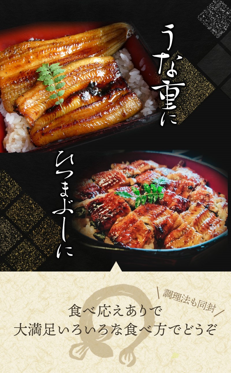 うなぎ ウナギ 鰻 大型サイズ ふっくら柔らか 国産 うなぎ蒲焼き 約170g×3尾 タレ付き / うなぎ ウナギ 鰻 うなぎの蒲焼 ウナギの蒲焼 鰻の蒲焼き 国産うなぎ 魚介 魚介類 うなぎ丼 うな重 ひつまぶし 人気 【uot303A-3】