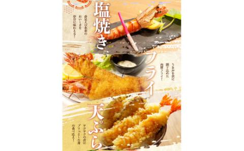 紀州和歌山産天然足赤えび540g（270g×2パック）化粧箱入 ※2025年11月末頃?2026年1月下旬頃順次発送予定（お届け日指定不可）／海老 エビ えび クマエビ 足赤 天然【uot772A】
