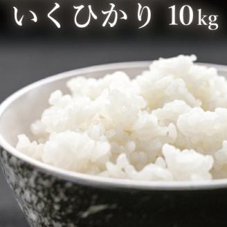 いくひかり（和歌山県日高郡産）10kg［2023年産］【hsc102】