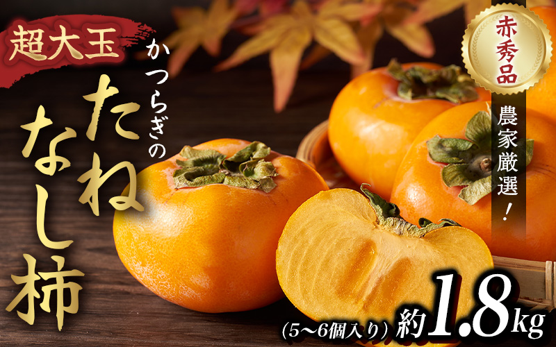 柿 種無し 赤秀品 超大玉 約1.8kg 5～6個 【先行予約】【2025年9月下旬から10月下旬頃発送】【kgr023】