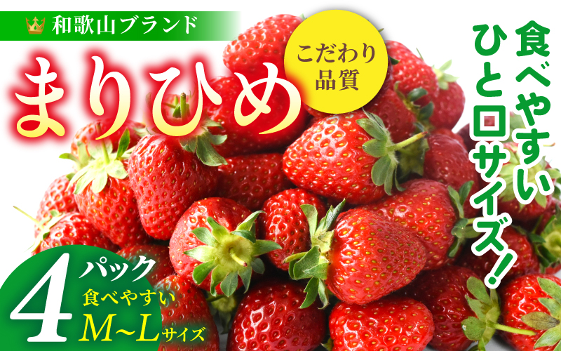 【先行予約】まりひめイチゴ4パック 食べやすいひと口サイズ M～L（15粒～20粒入×4パック）【2026年1月初旬～3月下旬頃に順次発送】（お届け日指定不可） | いちご 苺 まりひめ 和歌山 フルーツ 果物 くだもの【kgr034】