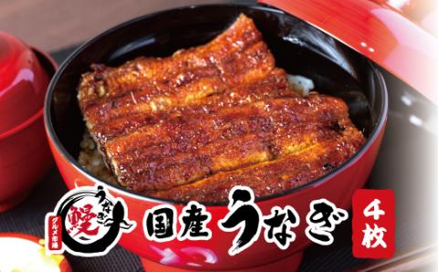 国産うなぎ 関西風蒲焼 大サイズ４枚(合計約600g)薬味付【北山グルメ市場】【miw103】