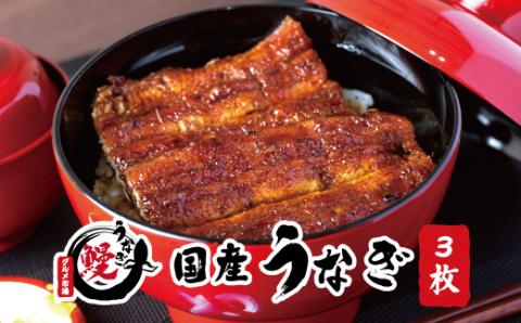 国産うなぎ 関西風蒲焼 大サイズ３枚(合計約450g)薬味付【北山グルメ市場】【miw106】