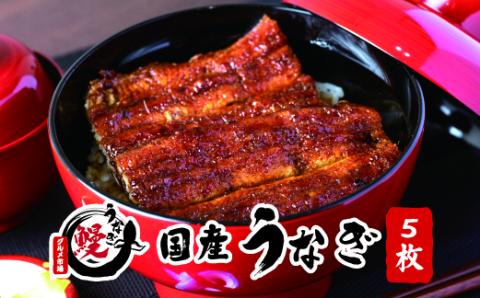 国産うなぎ 関西風蒲焼 大サイズ５枚(合計約750g)薬味付【北山グルメ市場】【miw107】
