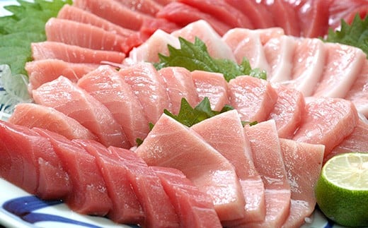 【期間限定 特別寄付額】【串本町×北山村】本マグロ（養殖）トロ＆赤身セット500ｇ 【2月発送分】【nks110A-2】