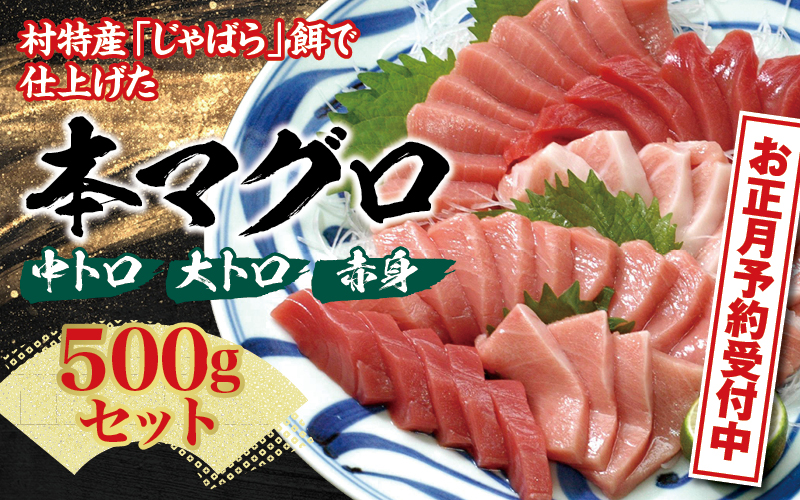 【お正月予約受付中！】本マグロ（養殖）トロ＆赤身 500g【12月25日～30日発送】【nks110D-sg】