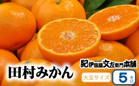 田村みかん 5kg 秀品【大玉サイズ】/紀州和歌山有田郡湯浅町田村地区産 ◆2026年11月下旬～2027年1月中旬頃に順次発送予定(お届け日指定不可)　紀伊国屋文左衛門本舗【ntb305B】