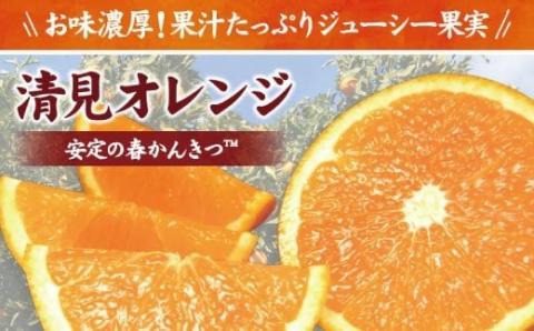 田村産清見オレンジ[約4.5kg]湯浅町田村産春みかん(果実サイズおまかせ)/紀伊国屋文左衛門本舗　※2026年3月中旬～4月下旬頃発送予定【ntb492A】