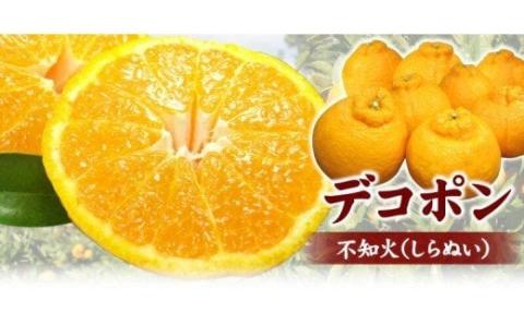 田村産「デコ」不知火[約3kg]湯浅町田村産春みかん(果実サイズおまかせ)/紀伊国屋文左衛門本舗　※2026年2月中旬～2026年3月下旬頃に順次発送予定(お届け日指定不可)【ntb493B】