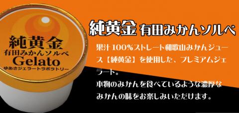 プレミアムジェラート 純黄金12個セット 有田みかんソルベ アイスクリームセット 100mlカップ ゆあさジェラートラボラトリー【ntb700-08】