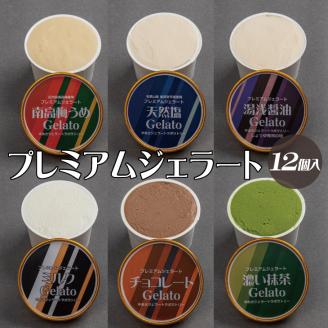 プレミアムジェラート 詰め合わせセット（6種類×2個） アイスクリームセット 100mlカップ ゆあさジェラートラボラトリー【ntb701】