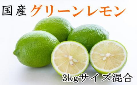 【産直】和歌山産グリーンレモン約3kg（サイズ混合）※2024年10月中旬～11月中旬頃頃に順次発送【tec506】