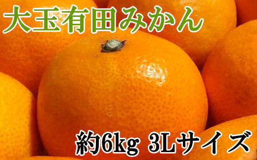 [秀品]和歌山有田みかん　6kg(3Lサイズ) ※2025年11月中旬～2026年1月中旬頃順次発送予定（お届け日指定不可）【tec836】