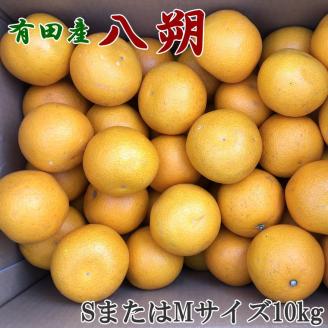 【手選果】有田産の八朔10kg（SまたはMサイズいずれかお届け）＜2024年1月下旬～2月下旬頃順次発送予定＞【tec845】