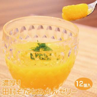 濃厚！田村そだちみかんゼリー【uot100】