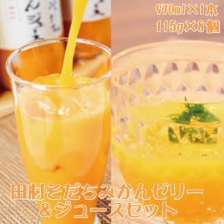 田村そだちみかんゼリー＆ジュースセット【uot101】