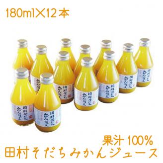 果汁100%　田村そだちみかんジュース　180ml×12本【uot212】