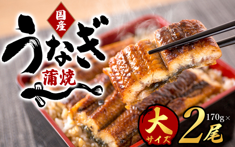 うなぎ ウナギ 鰻 大型サイズ ふっくら柔らか 国産 うなぎ蒲焼き 約170g×2尾 タレ付き【uot302A-3】