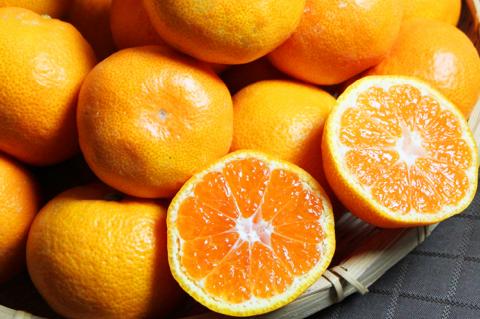 【先行予約受付】高級ブランド田村みかん　10kg　大玉サイズ	※2024年11月下旬頃～2025年1月下旬頃に順次発送予定(お届け日指定不可)								【uot716】