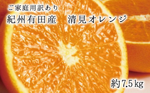 【ご家庭用訳アリ】紀州有田産清見オレンジ　7.5kg ※2026年3月下旬?2026年4月中旬頃に順次発送予定(お届け日指定不可)【uot730】