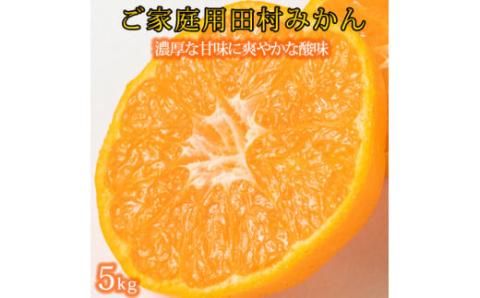 【ご家庭用訳あり】田村みかん　5kg　※2024年11月下旬頃～2025年1月下旬頃に順次発送予定【uot754A】
