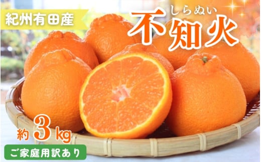 【ご家庭用訳あり】紀州有田産不知火(しらぬひ) 約3kg 【予約】※2026年2月中旬頃～2026年3月中旬頃に順次発送予定(お届け日指定不可)【uot830A】