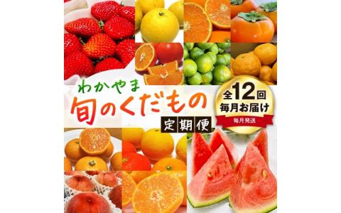 [旬のくだもの定期便]和歌山県の旬のフルーツを毎月お届け! 全12回[S](配送日時指定不可)※北海道・沖縄・離島への配送不可 / 定期便 フルーツ みかん いちご イチゴ セミノール 河内晩柑 すい[ard-tkb901A]