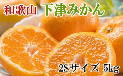 [産直・秀品]和歌山下津みかん 5kg(2Sサイズ) ※2024年11月中旬〜2025年1月中旬ごろに順次発送(お届け日指定不可)[tec868]