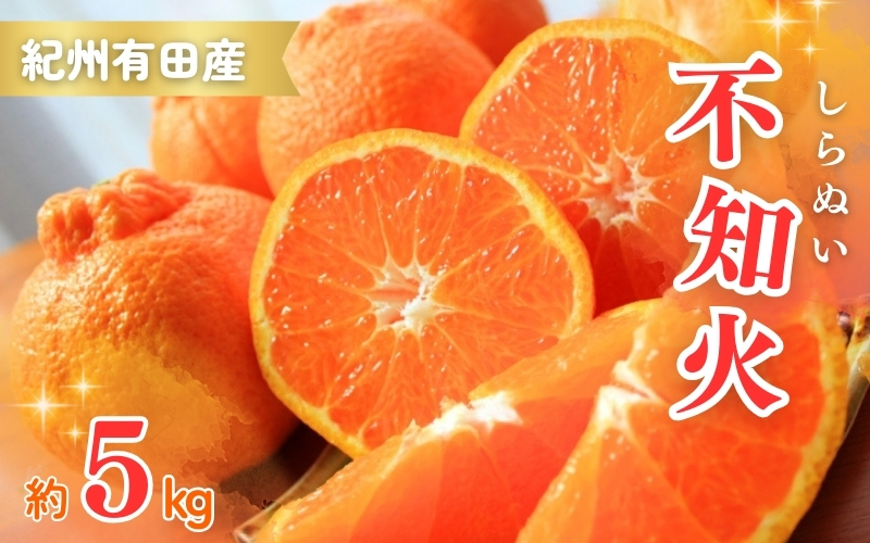 紀州有田産不知火(しらぬひ) 約5kg[2025年2月中旬頃〜3月上旬頃発送][uot709]